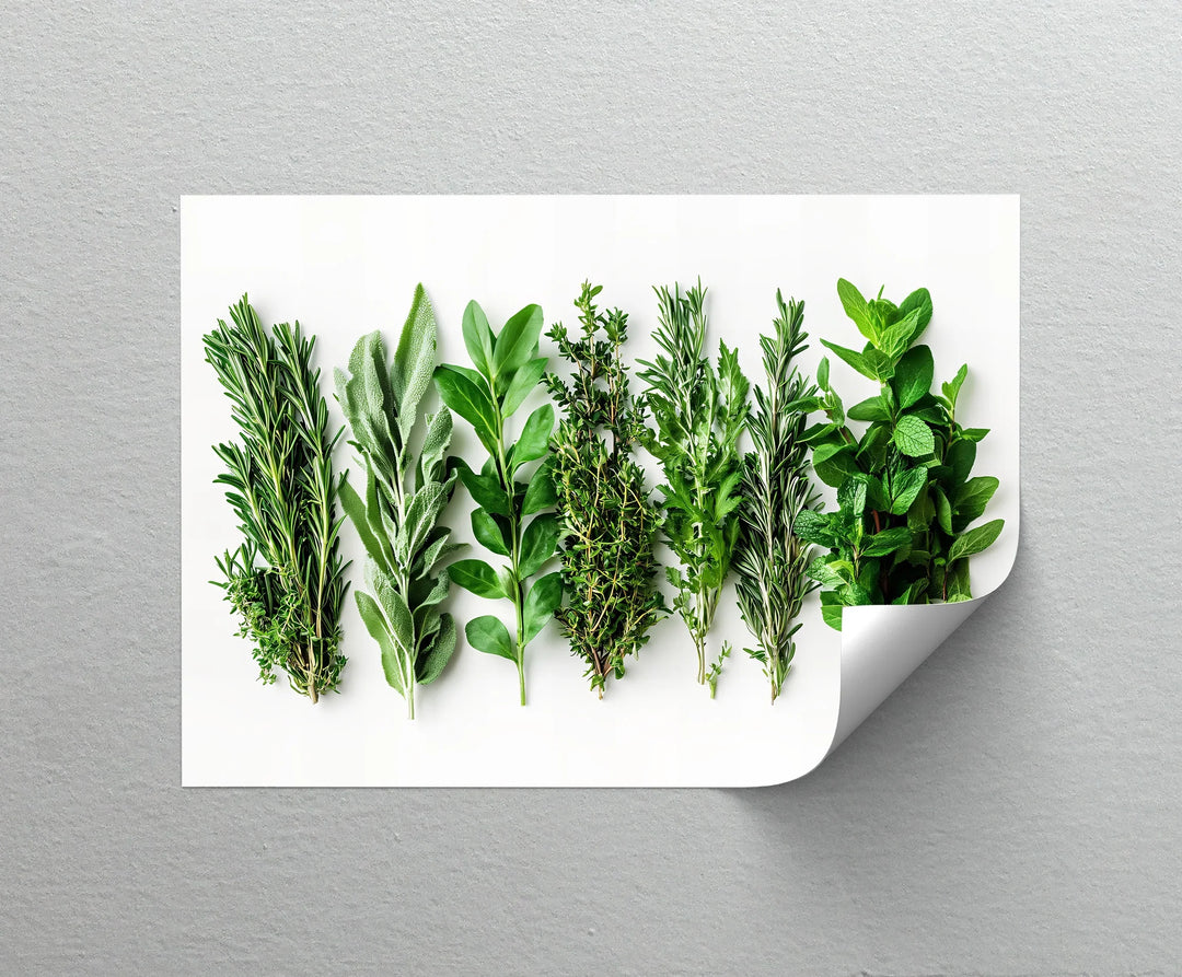 Fresh Herb Medley – Kitchen Canvas Prints - MyPhotoStation