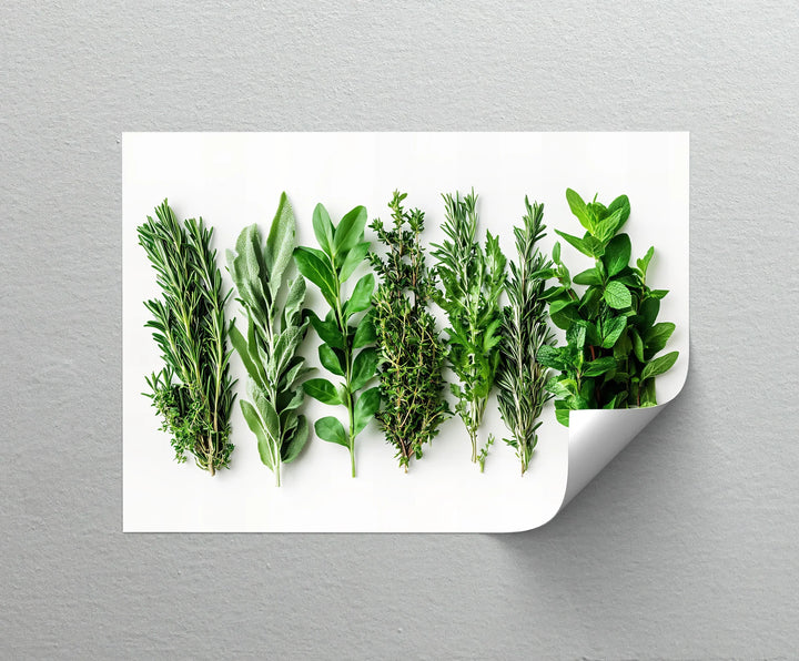 Fresh Herb Medley – Kitchen Canvas Prints - MyPhotoStation