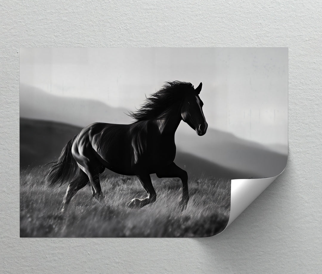 Midnight Gallop – Black Horse in Motion Canvas Print