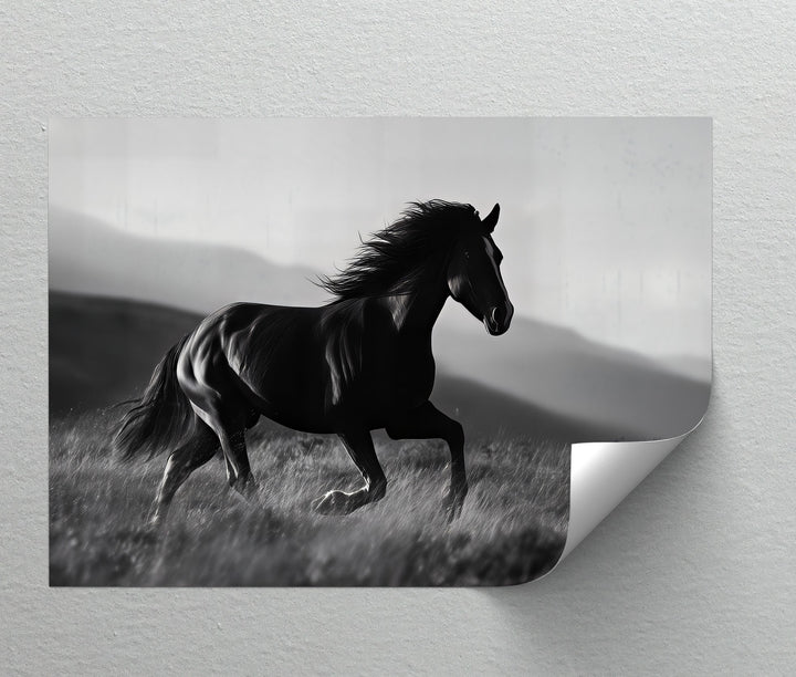 Midnight Gallop – Black Horse in Motion Canvas Print