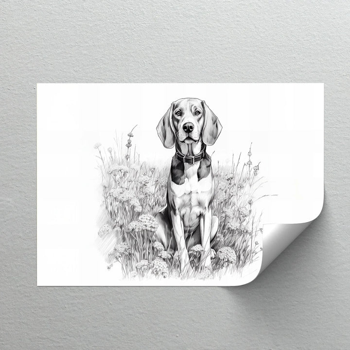 Hound Dog Among Wildflowers Pencil Drawing - Canvas Print - MyPhotoStation