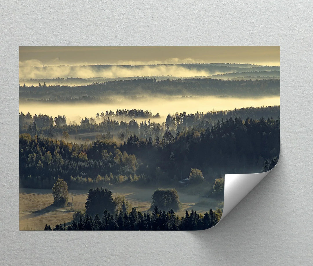 Tranquil woodland morning fog photography print

