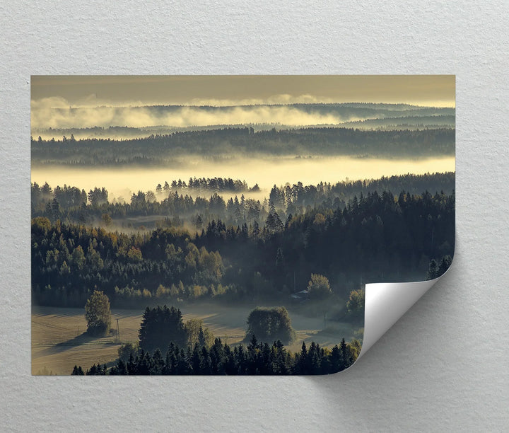 Tranquil woodland morning fog photography print

