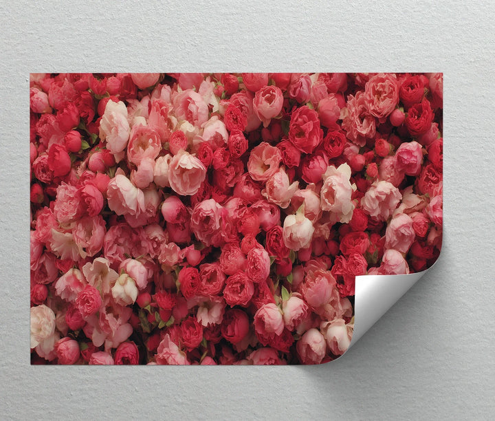 Romantic Peony Garden – Blush and Crimson Floral Canvas Print - MyPhotoStation