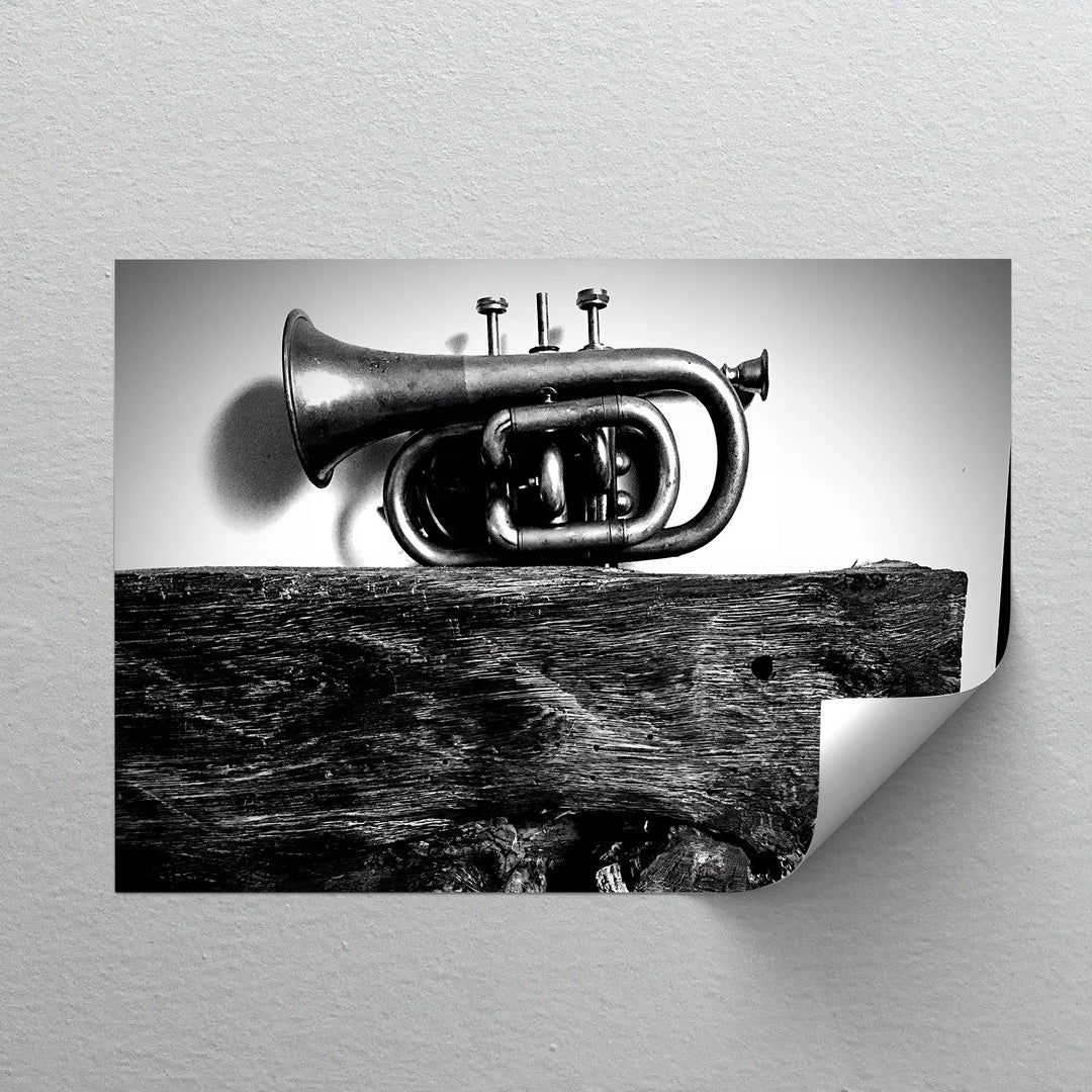 Rustic Trumpet Still Life – Black and White Vintage Music Canvas Prints - MyPhotoStation