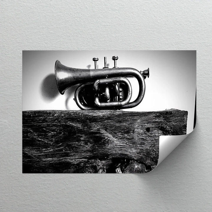 Rustic Trumpet Still Life – Black and White Vintage Music Canvas Prints - MyPhotoStation