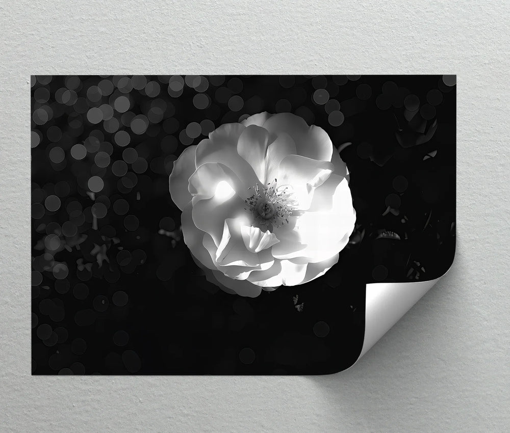 Monochrome Grace – minimalist flower art print for modern decor.

