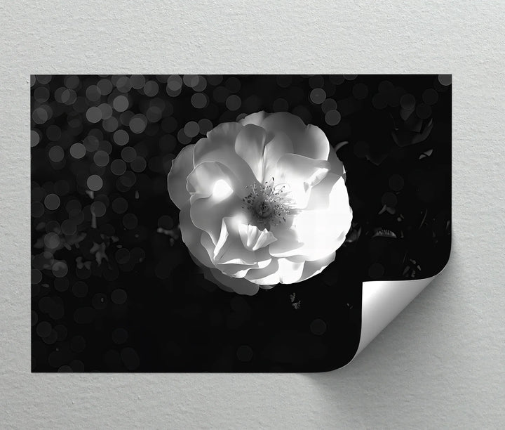 Monochrome Grace – minimalist flower art print for modern decor.

