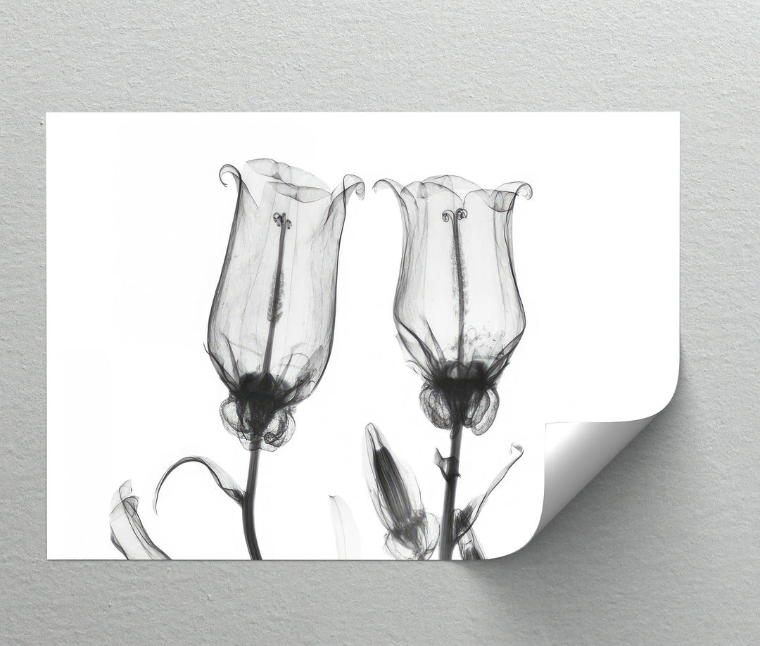 هروب الحمضيات في أمالفي – طباعة قماشية لبستان البرتقال المتوسطي