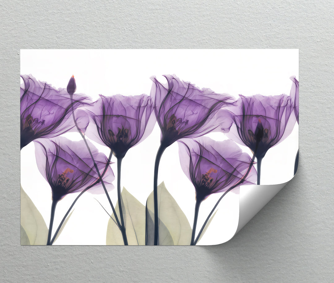 هروب الحمضيات في أمالفي – طباعة قماشية لبستان البرتقال المتوسطي