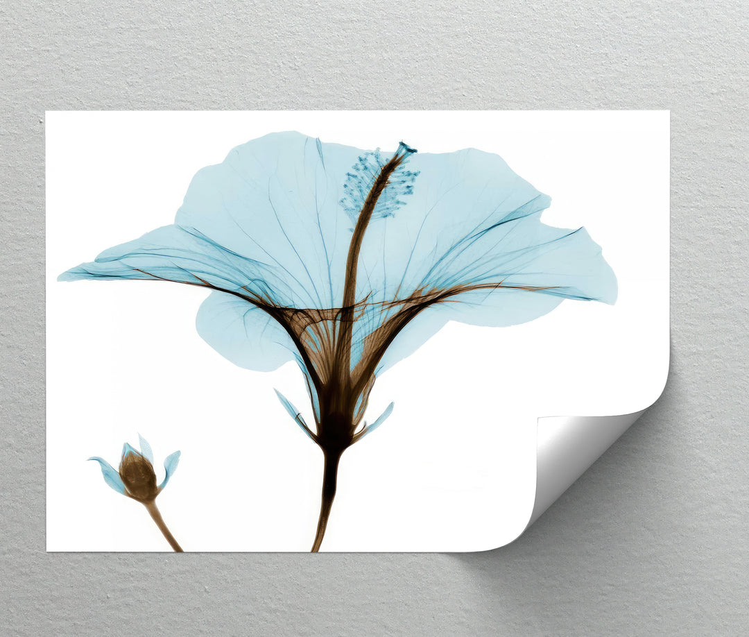 هروب الحمضيات في أمالفي – طباعة قماشية لبستان البرتقال المتوسطي