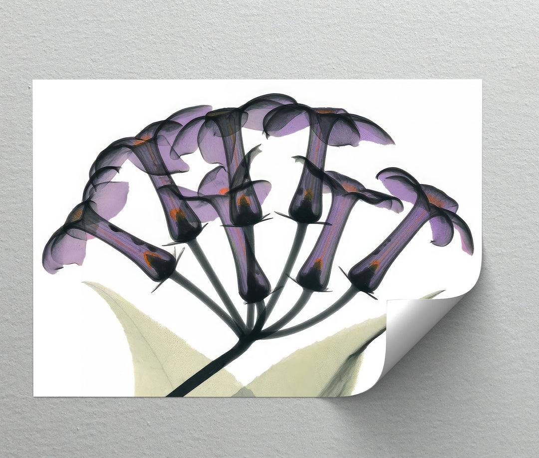 هروب الحمضيات في أمالفي – طباعة قماشية لبستان البرتقال المتوسطي