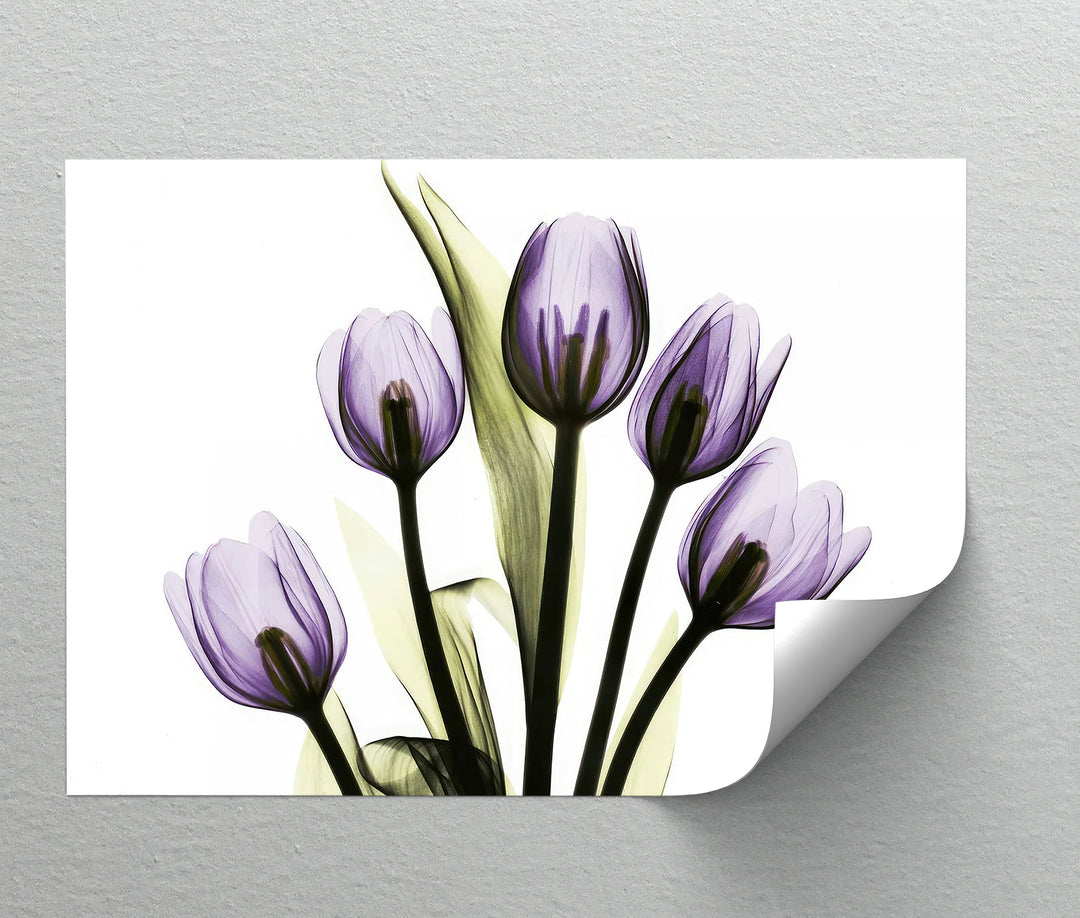 هروب الحمضيات في أمالفي – طباعة قماشية لبستان البرتقال المتوسطي