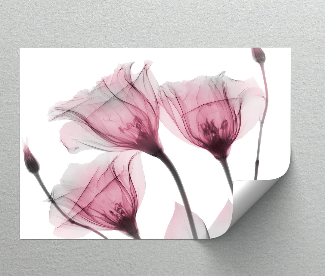 هروب الحمضيات في أمالفي – طباعة قماشية لبستان البرتقال المتوسطي