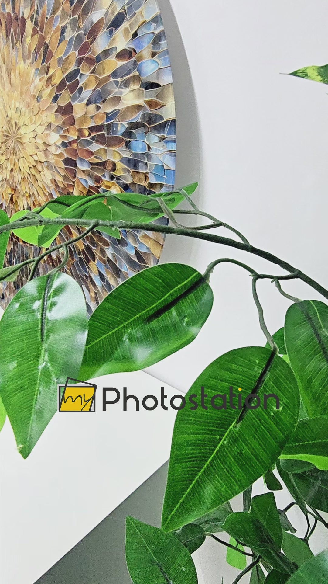 Solar Bloom Harmony – Rotondo Quadri da Parete in Vetro
