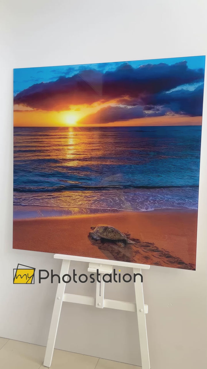 Glaswandkunst mit Meeresschildkröte bei Sonnenuntergang