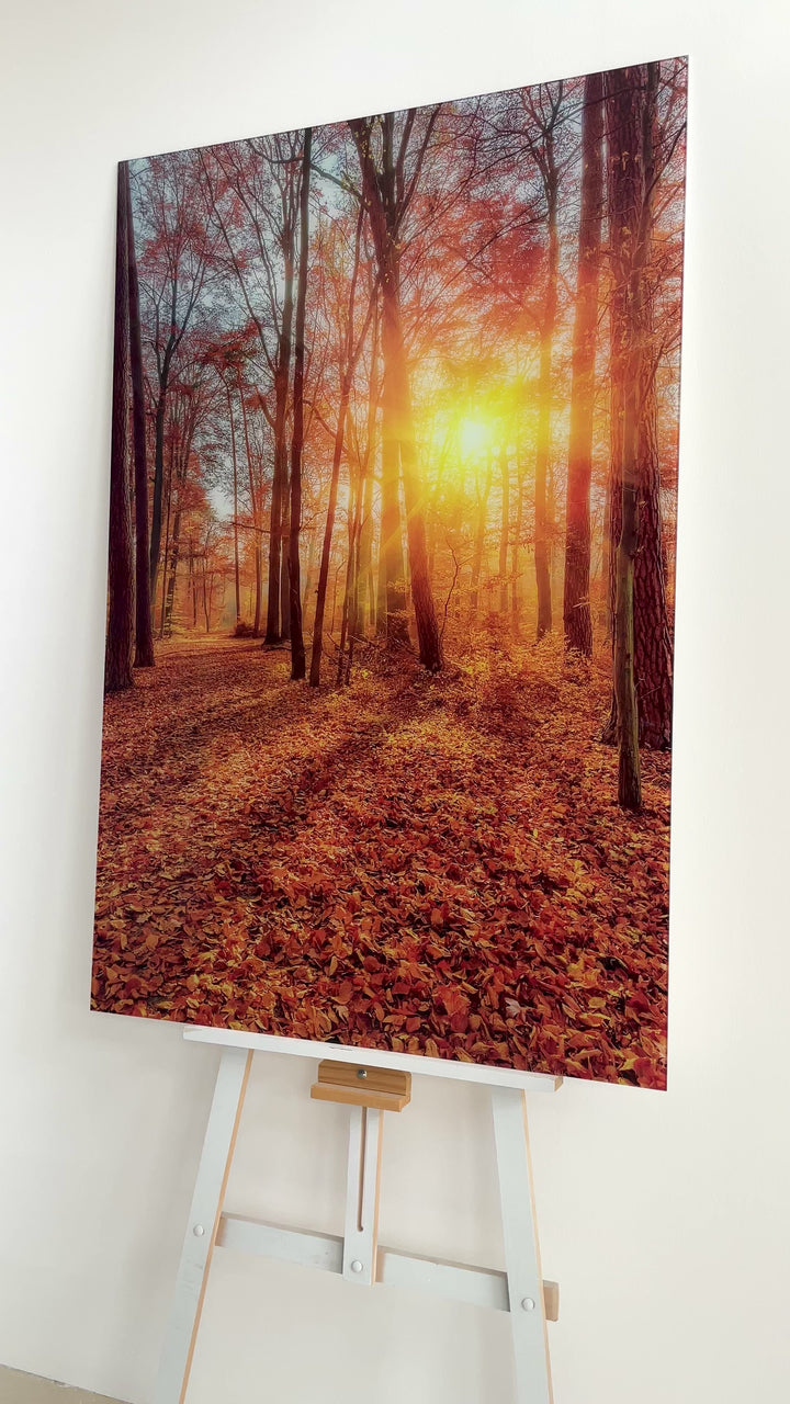 Autumn Forest Path Glass Wall Art – A Serene Fall Landscape