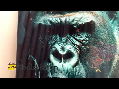 Mafia King Gorilla Glaswandkunst