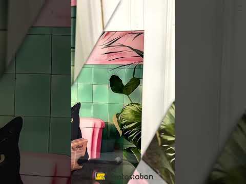 Chat en train de lire sur les toilettes Art Mural En Verre