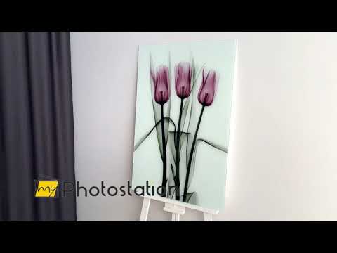 Albert Koetsier Triplett Tulpen Glaswandkunst