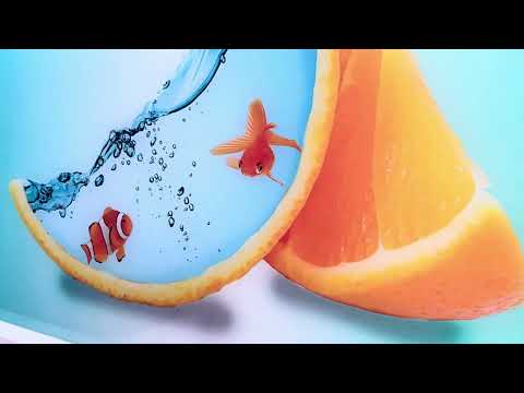 Fische im orangefarbenen Aquarium – Wandbild aus Glas