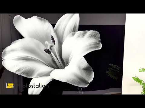 Black And White Lily Flower Glass Wall Art