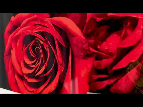 Red Rose Flower On Black Glass Wall Art, glass art painting, glass art for the Wall
