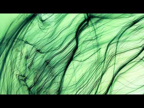 Wolfgang Tillmans wall art