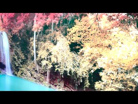 Herbstwald Wasserfall in Glaswandkunst