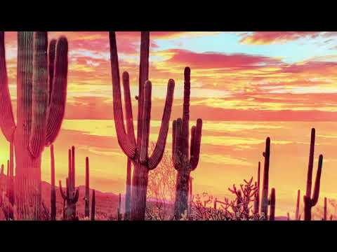 Wüstensonnenuntergang mit Saguaros-Glaswandkunst