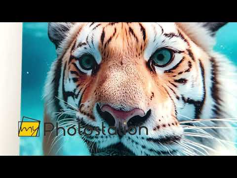 Tiger schwimmt unter Wasser im Pool, Glaswandkunst