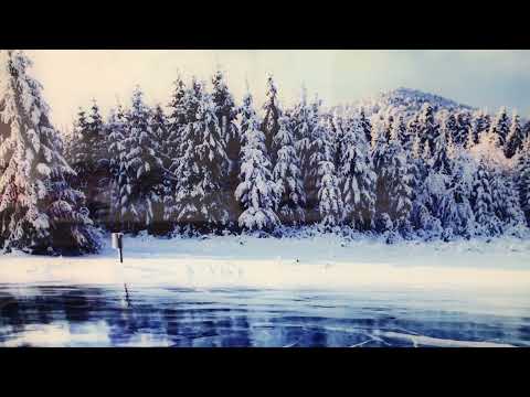 Winterwald Schnee Glas Wandkunst