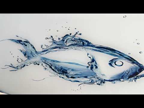 Fisch aus Wasserglas Wandkunst
