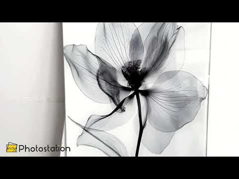 Schwarz-Weiß-Fotografie von Blumen-Wandkunst aus Glas