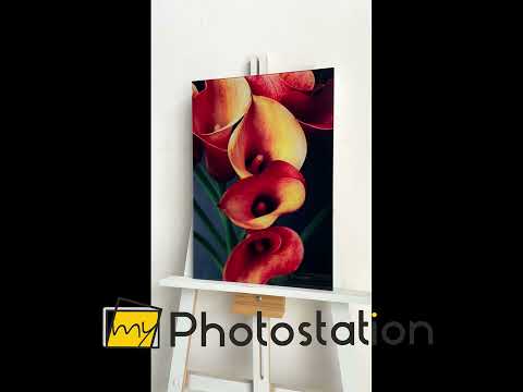Orange Calla-Lilien-Wandkunst aus Glas