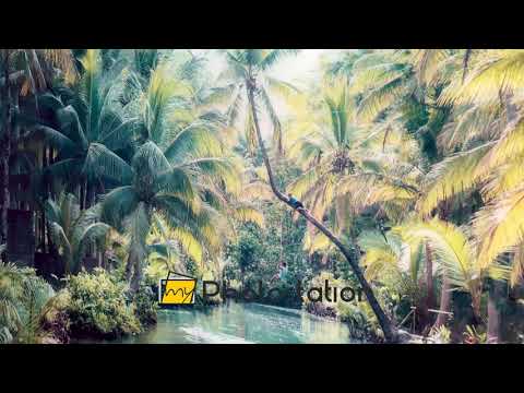 Tropical River Paradise: A Stunning Jungle Landscape Glass Wall Art