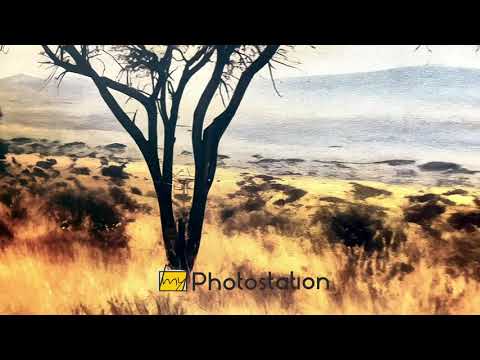 African Savanna Tree Wall Art – Landscape Oil Painting