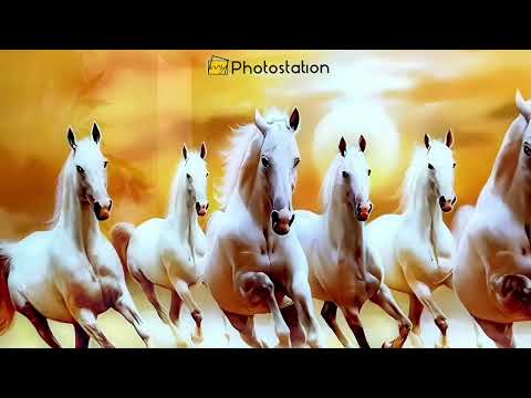 White Horses Running on Sunset Glass Wall Art