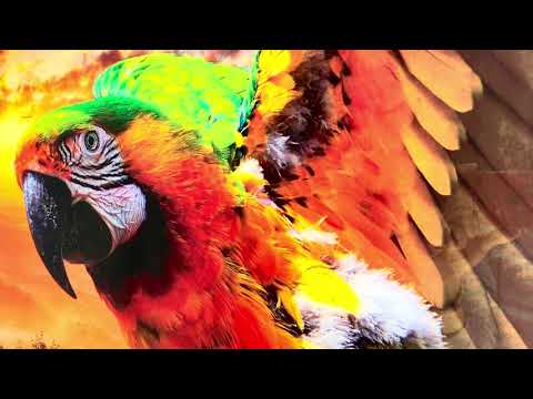 Tropical Parrot Glass Wall Art