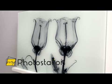 Albert Koetsier Canterbury Bells Glaswandkunst