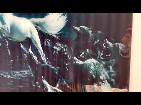 Wolf und Pferd Glaswandkunst