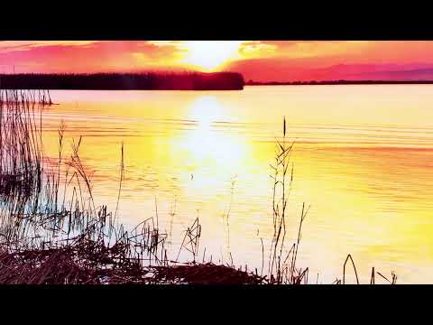 Golden Sunset Over the Lake: A Serene Nature Scene on Glass Wall Art