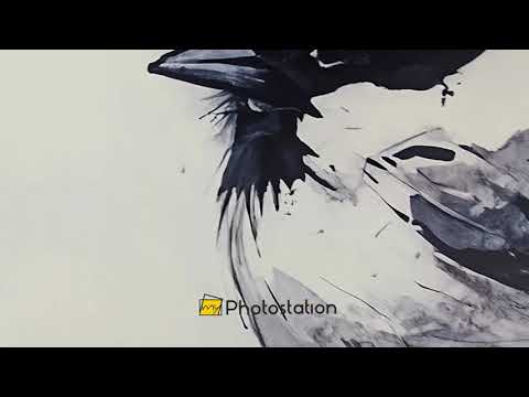 Quatuor Monochrome–Oiseau Tableau Peinture à l’huile