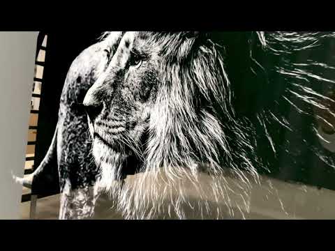 Wandbild aus Glas „Old Wild Lion“
