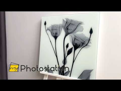 Albert Koetsier Tulip Tattoo Glaswandkunst