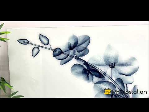 Röntgenblaue Orchidee Glaswandkunst