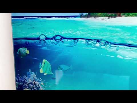 Tropische Insel &amp; Fische Glaswandkunst