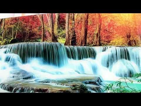 Wasserfall im tiefen Wald Glaswandkunst