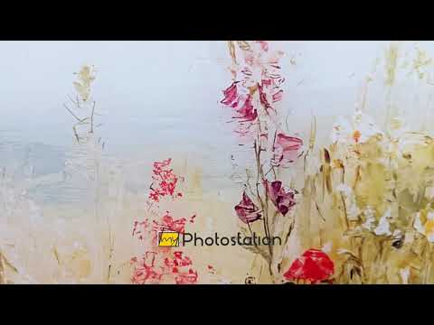 Wildblumenblüte – Ruhige Wiesenlandschaft Glasbilder