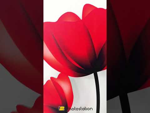 Red Poppy Flowers Metal Wall Art – Modern Floral Botanical Wall Decor